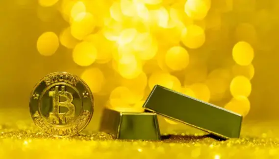 Bitcoin vs Gold Which Is the Better Store of Value in Today’s Economy Bitcoin vs Gold Which Is the Better Store of Value in Today’s Economy